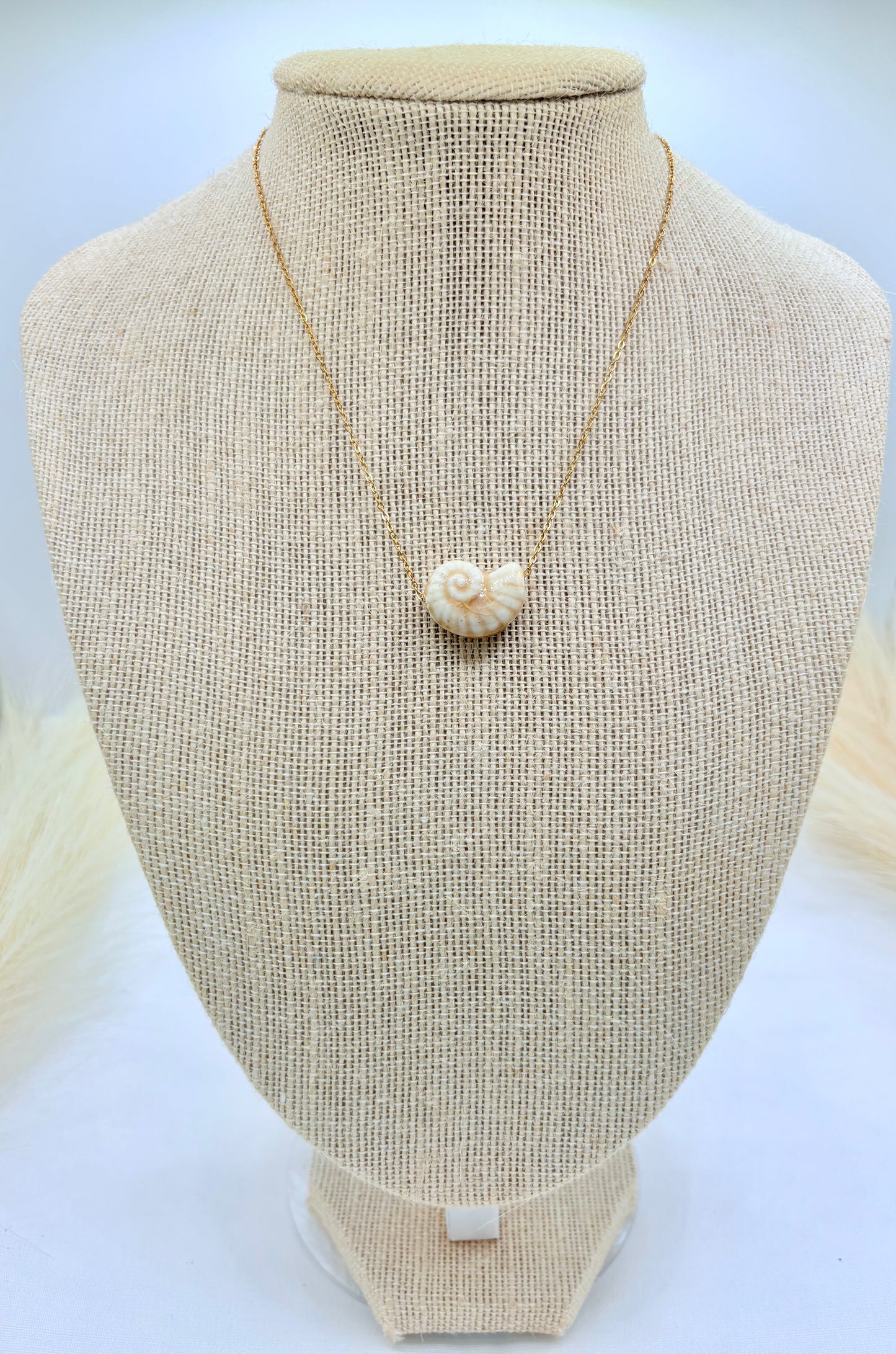 Golden Shell